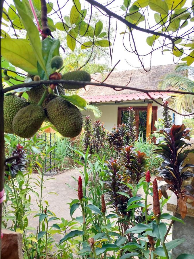 Om Home Sihanoukville Extérieur photo